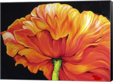 Framed Single Poppy Print