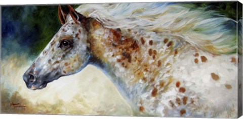 Framed Appaloosa Spirit Print