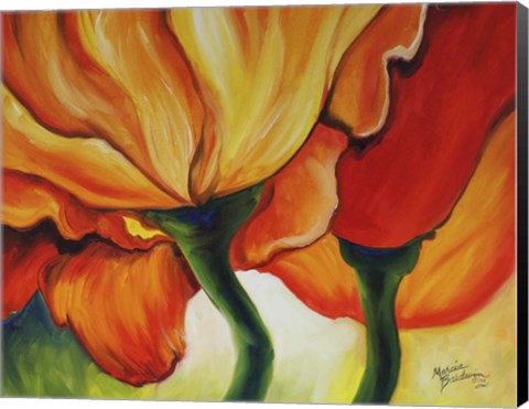 Framed Golden Poppy Abstract Print