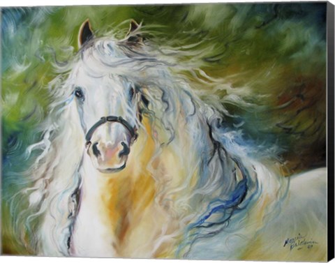 Framed White Cloud The Andlusian Stallion Print