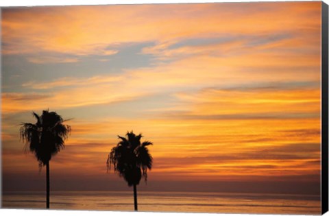 Framed Sunset Palms III Print