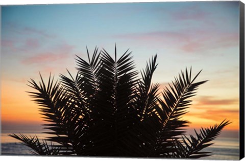 Framed Sunset Palms II Print