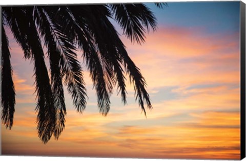 Framed Sunset Palms I Print