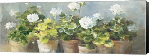 Framed White Geraniums v2 Print