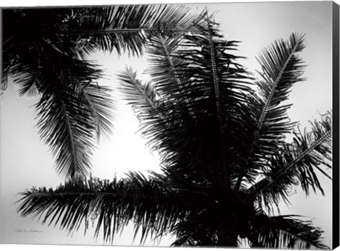 Framed Palm Tree Looking Up I Print