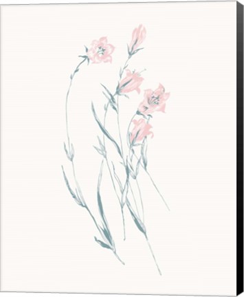Framed Flowers on White V Contemporary Print