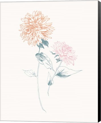 Framed Flowers on White IV Contemporary Print