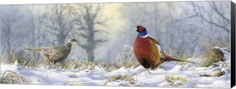Framed Pheasants Print
