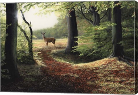 Framed Roe Deer Print