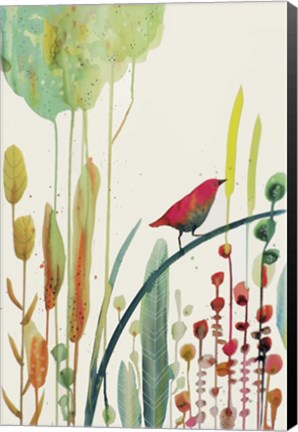 Framed To Sing For Print