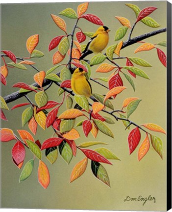Framed Backyard Goldfinches Print