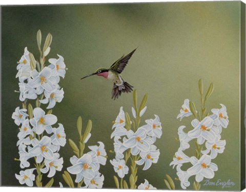 Framed In the Garden Print