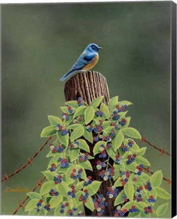 Framed Keeping Watch Print