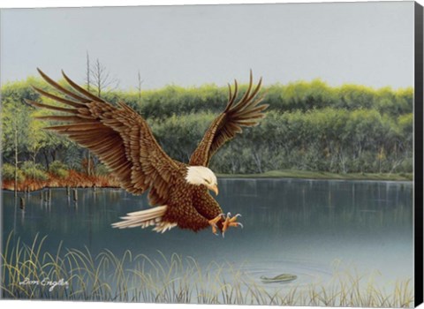 Framed Catch Print