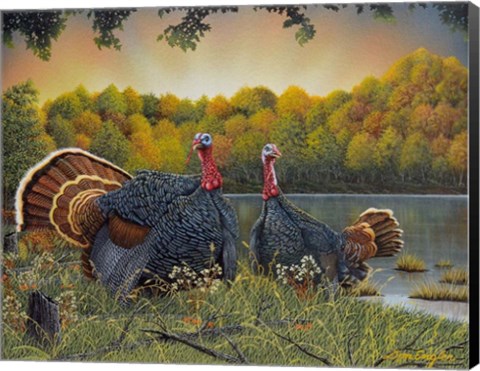 Framed Turkey Season Print