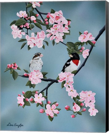 Framed Red-breasted Grosbeaks Print