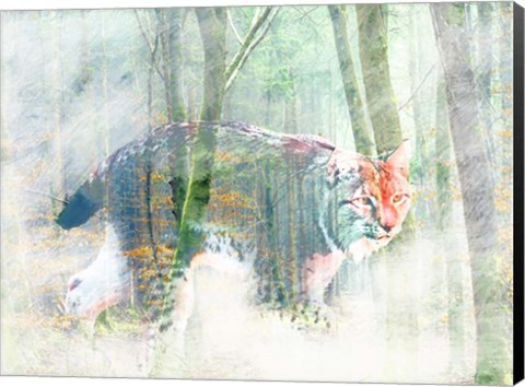 Framed Silent Hunter Print