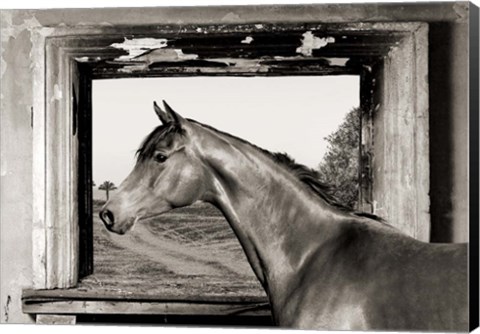 Framed Arab King (BW) Print