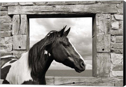 Framed Painted Horse (BW) Print