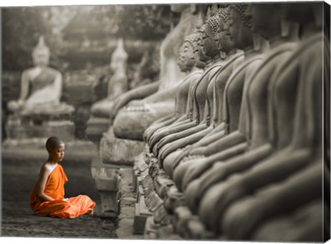 Framed Young Buddhist Monk Praying, Thailand (BW) Print