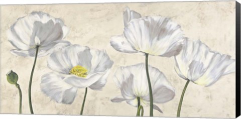 Framed Poppies in White Print