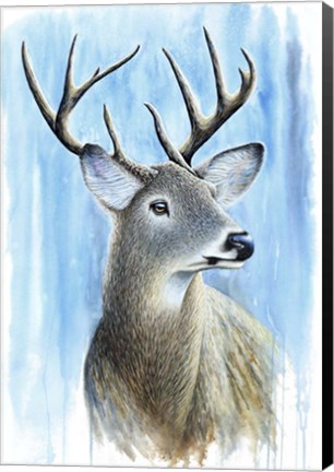 Framed Buck Print
