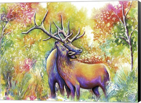 Framed Elk Love Print