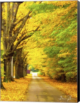 Framed Autumn Gold Print