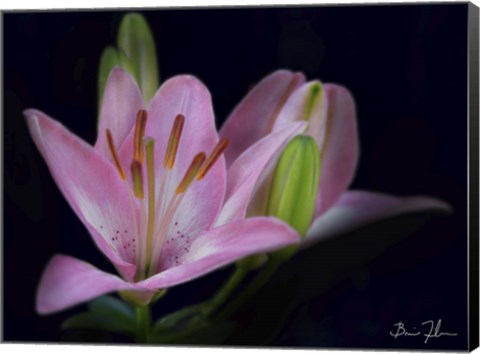 Framed Intimate Print