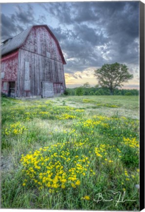 Framed Pennsylvania Barn Print