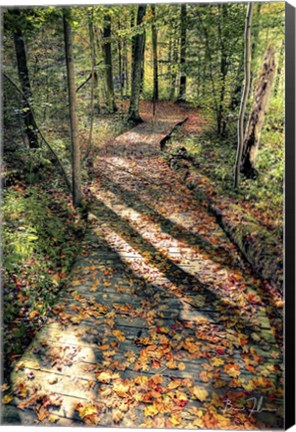 Framed Walking The Path Print