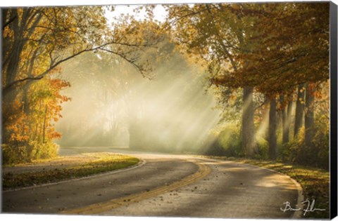 Framed Autumn Drive Print