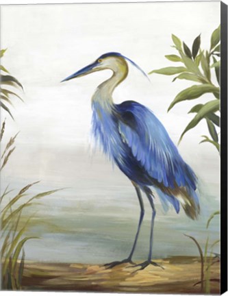 Framed Blue Heron Print