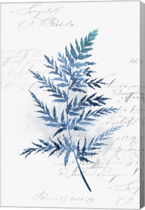 Framed Botanical Blue I Print