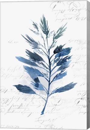 Framed Botanical Blue II Print