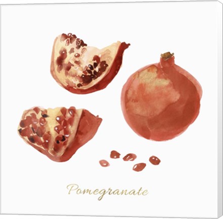 Framed Pomegranate Print