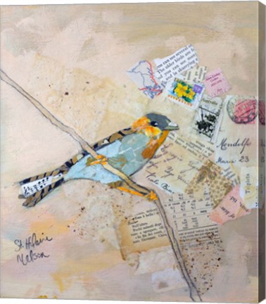 Framed Perched Print