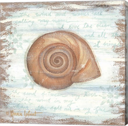 Framed Ocean Snail Print