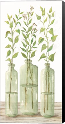 Framed Simple Leaves in Jar II Print
