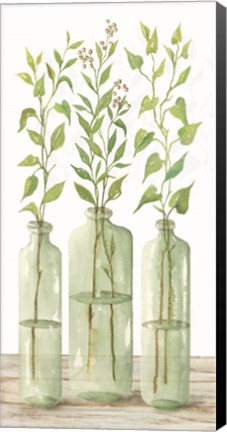 Framed Simple Leaves in Jar II Print