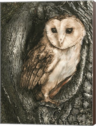 Framed Barn Owl Roost Print