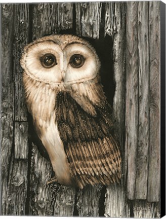 Framed Owl Sentry Print