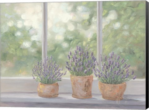 Framed Lavender Pots Print