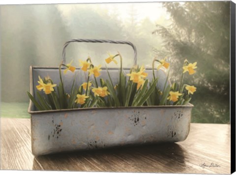 Framed Daffodil Tin Print