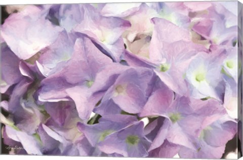 Framed Violet Hydrangeas Print