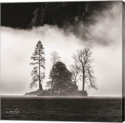 Framed Island Print