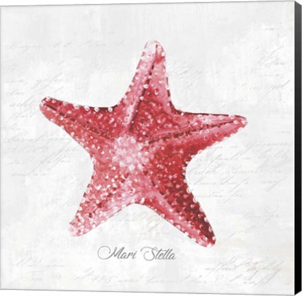 Framed Red Starfish Print