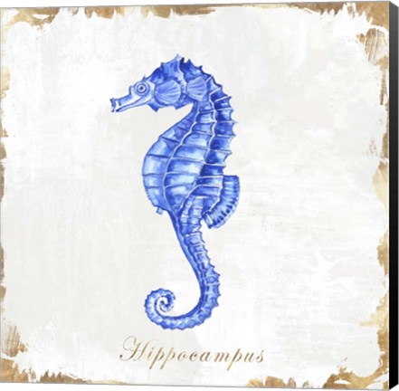 Framed Blue Sea Horse Print