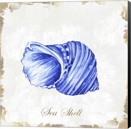 Framed Blue Seashell Print