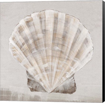 Framed Neutral Shells II Print